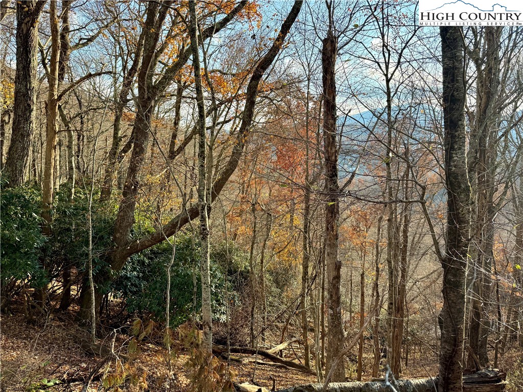 Pheasant Walk Way Vilas, NC 28692 - Photo 19 of 21