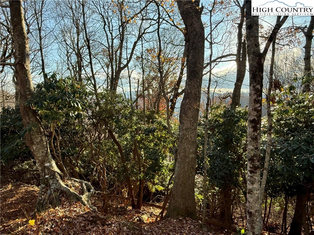 Pheasant Walk Way Vilas, NC 28692 - Photo 20 of 21