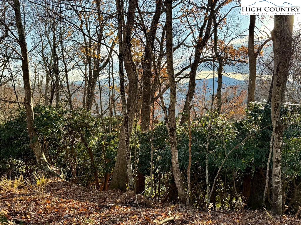 Pheasant Walk Way Vilas, NC 28692 - Photo 2 of 21