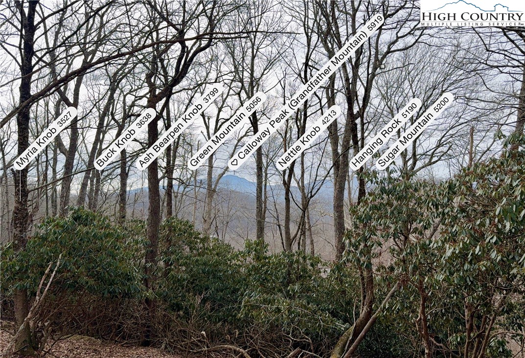 Pheasant Walk Way Vilas, NC 28692 - Photo 21 of 21