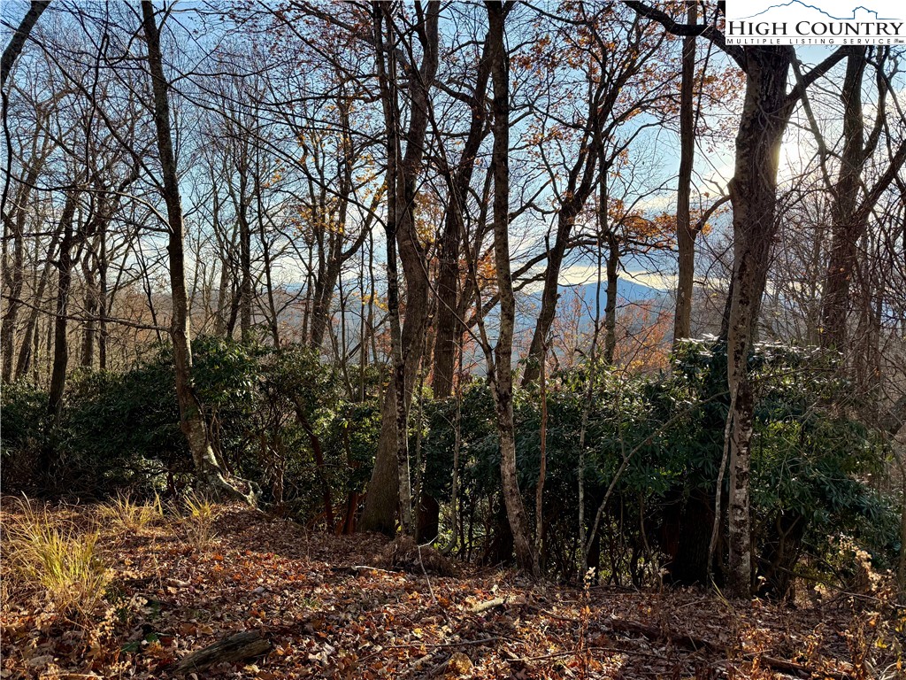 Pheasant Walk Way Vilas, NC 28692 - Photo 3 of 21