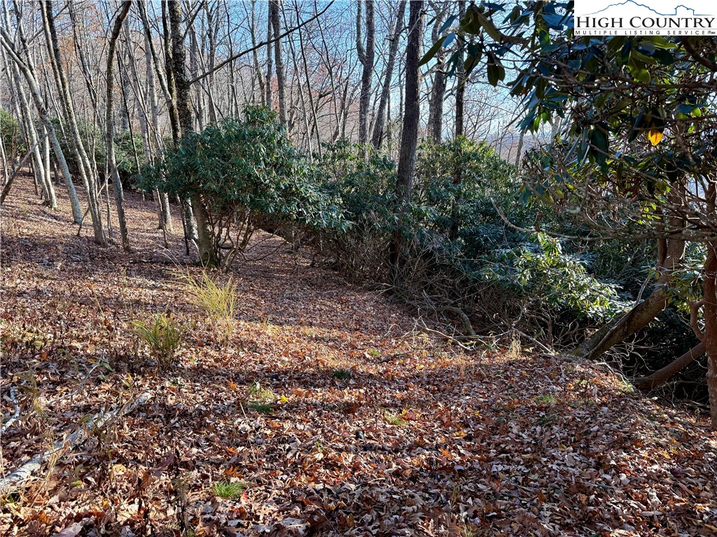 Pheasant Walk Way Vilas, NC 28692 - Photo 4 of 21