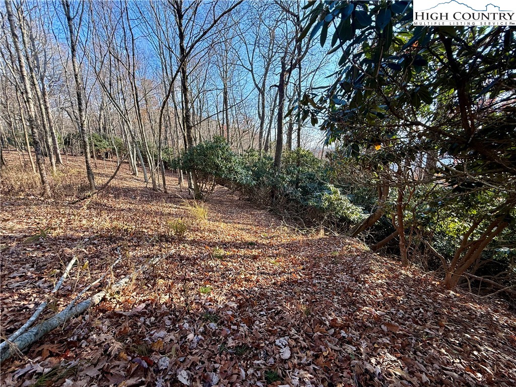 Pheasant Walk Way Vilas, NC 28692 - Photo 5 of 21