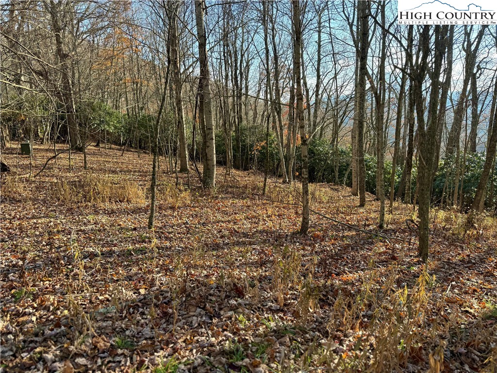 Pheasant Walk Way Vilas, NC 28692 - Photo 6 of 21