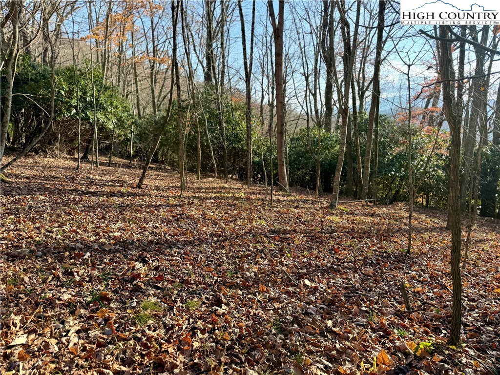 Pheasant Walk Way Vilas, NC 28692 - Photo 7 of 21