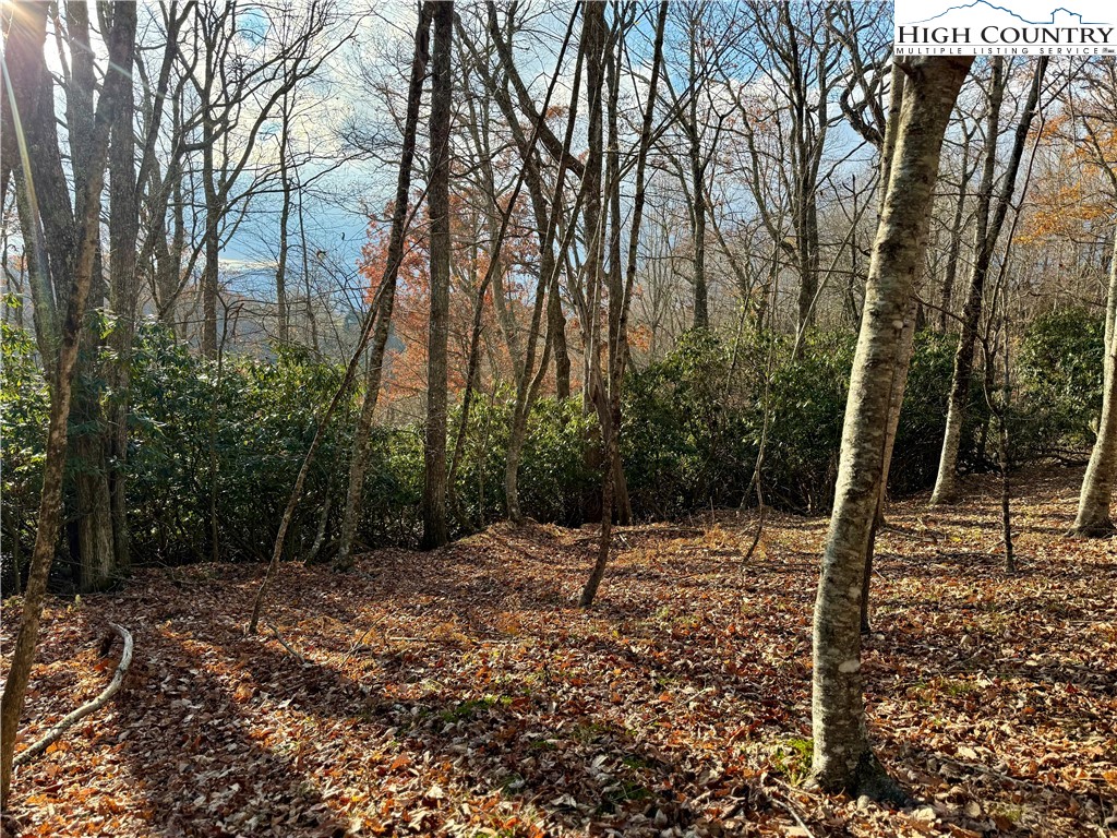 Pheasant Walk Way Vilas, NC 28692 - Photo 8 of 21