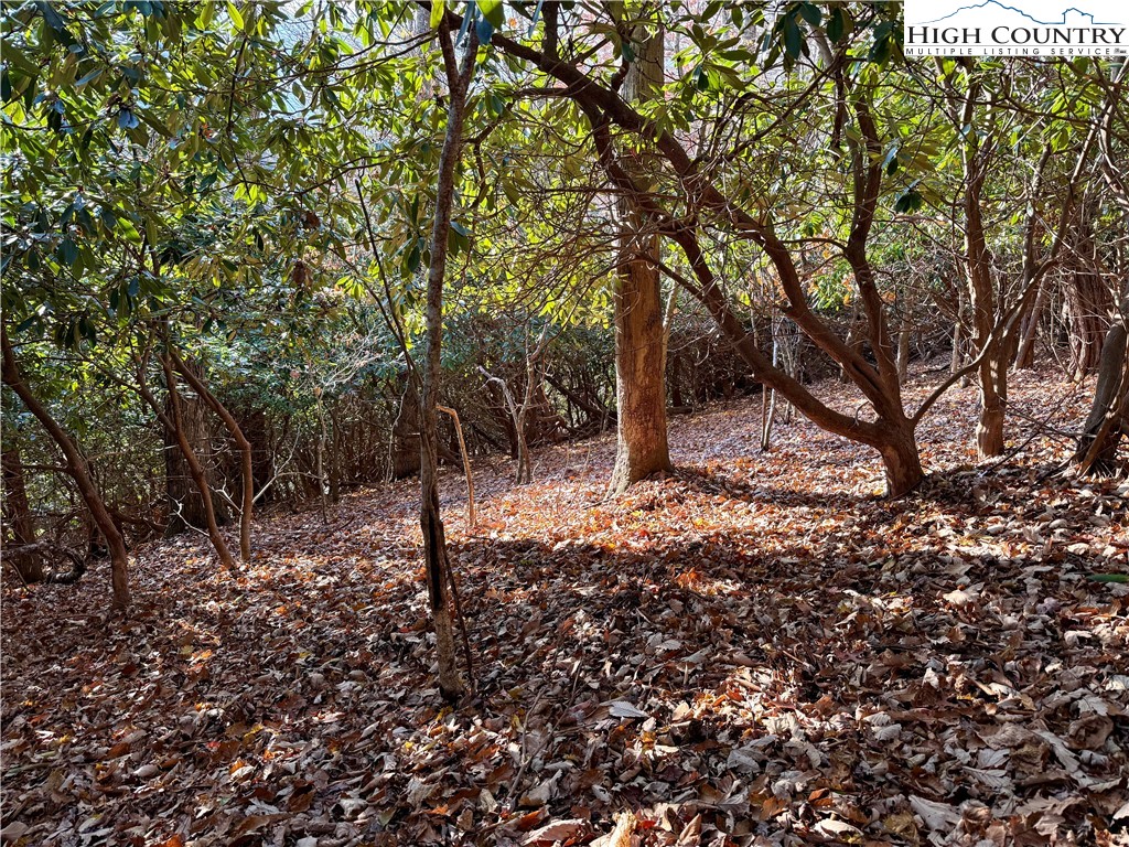 Pheasant Walk Way Vilas, NC 28692 - Photo 9 of 21