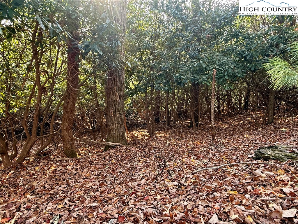 Pheasant Walk Way Vilas, NC 28692 - Photo 10 of 21