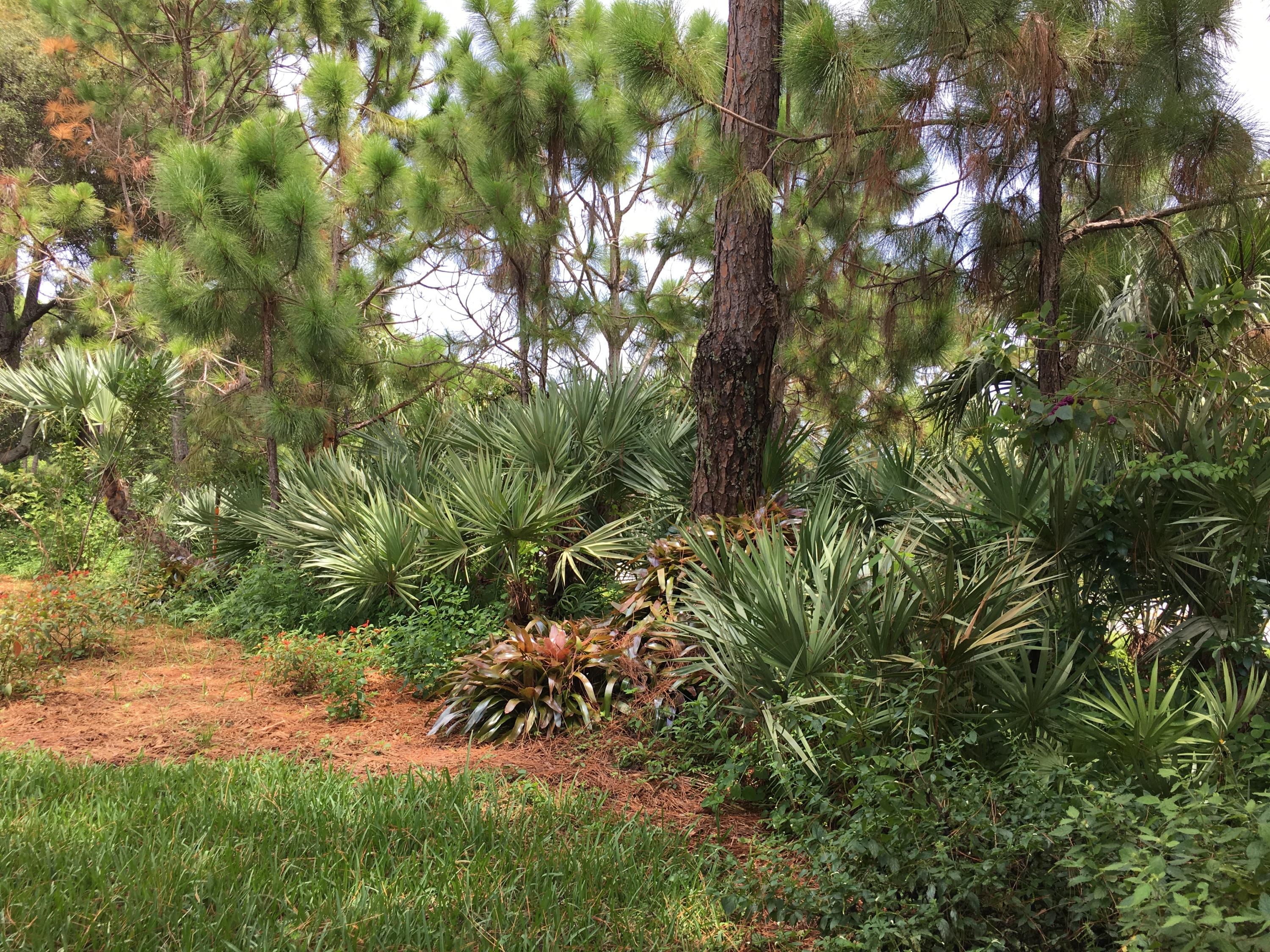 6539 High Ridge Road Lake Worth, FL 33462 - Photo 5 of 31 IMG_0545