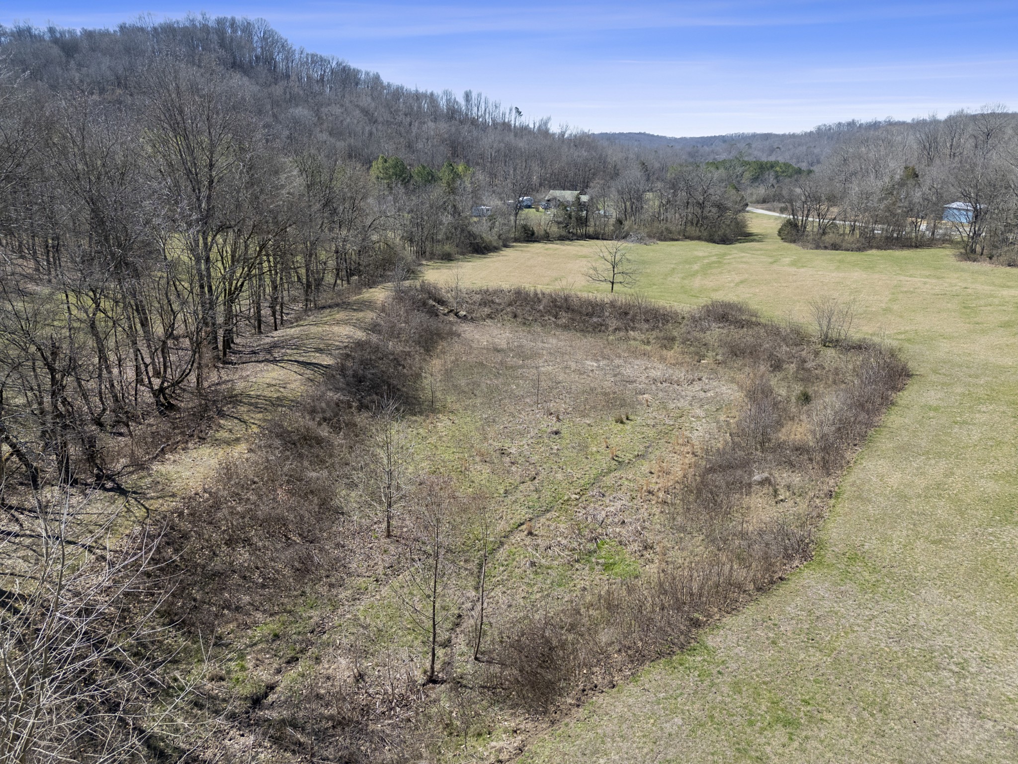 651 Liberty Circle Prospect, TN 38477 - Photo 11 of 24 a view of a dry yard with mountain view