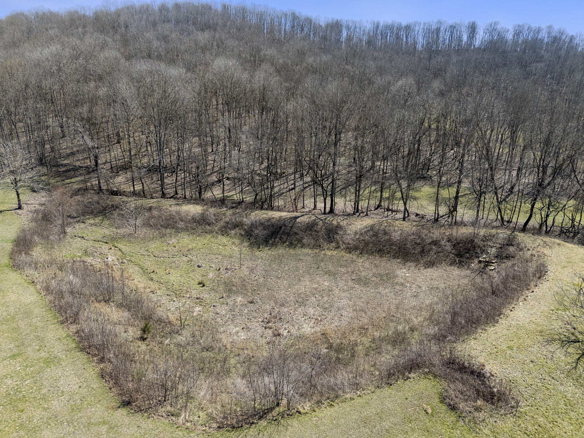 651 Liberty Circle Prospect, TN 38477 - Photo 12 of 24 a view of a dry yard with trees