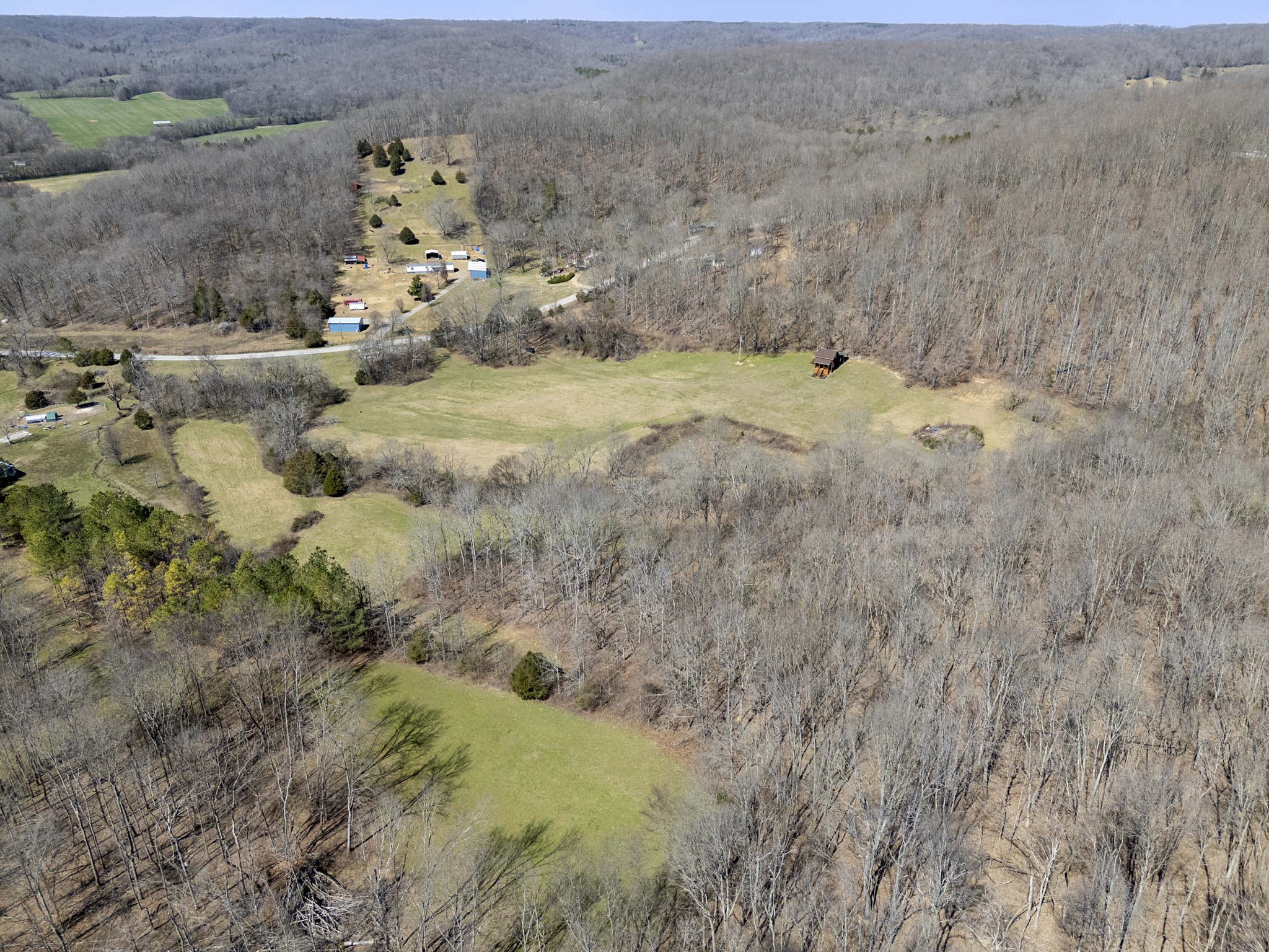 651 Liberty Circle Prospect, TN 38477 - Photo 14 of 24 a view of a yard with trees