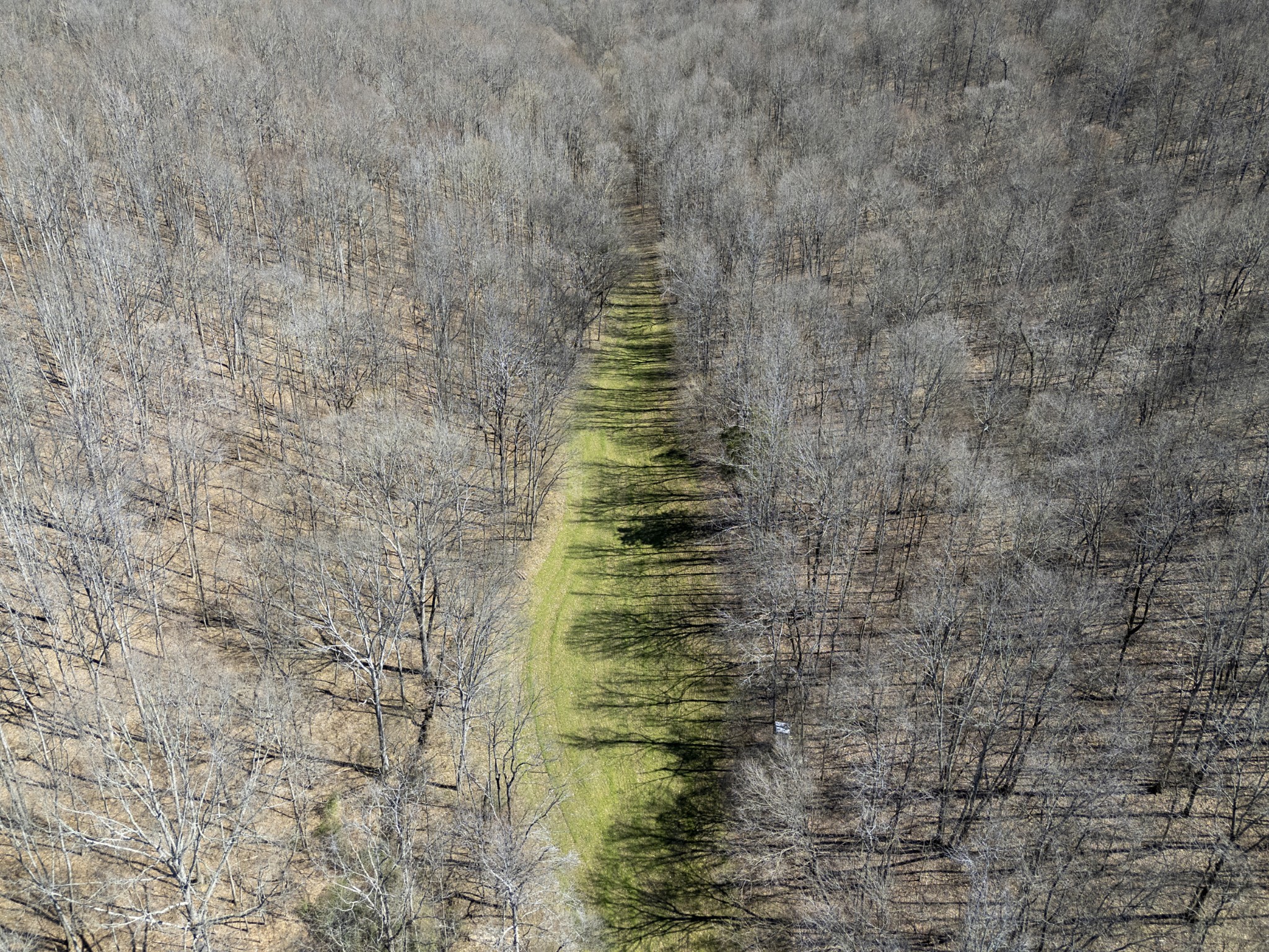 651 Liberty Circle Prospect, TN 38477 - Photo 19 of 24 a bathroom with a shower