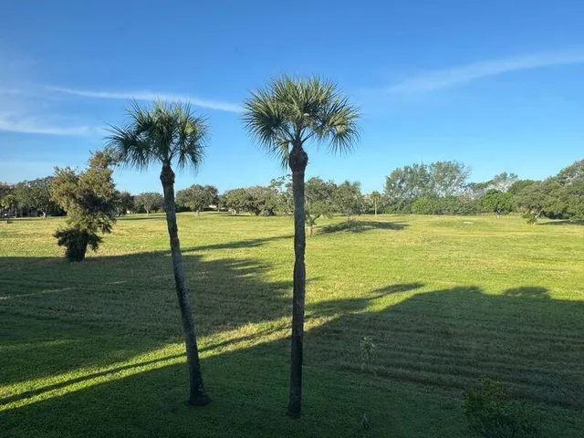 a view of a playground with a swimming pool