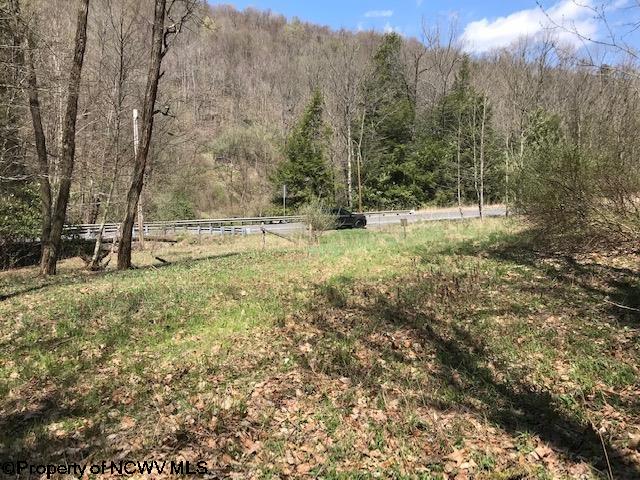 Tbd Woolen Mill Road Albright, WV 26519 - Photo 8 of 8 Gallery Image 8