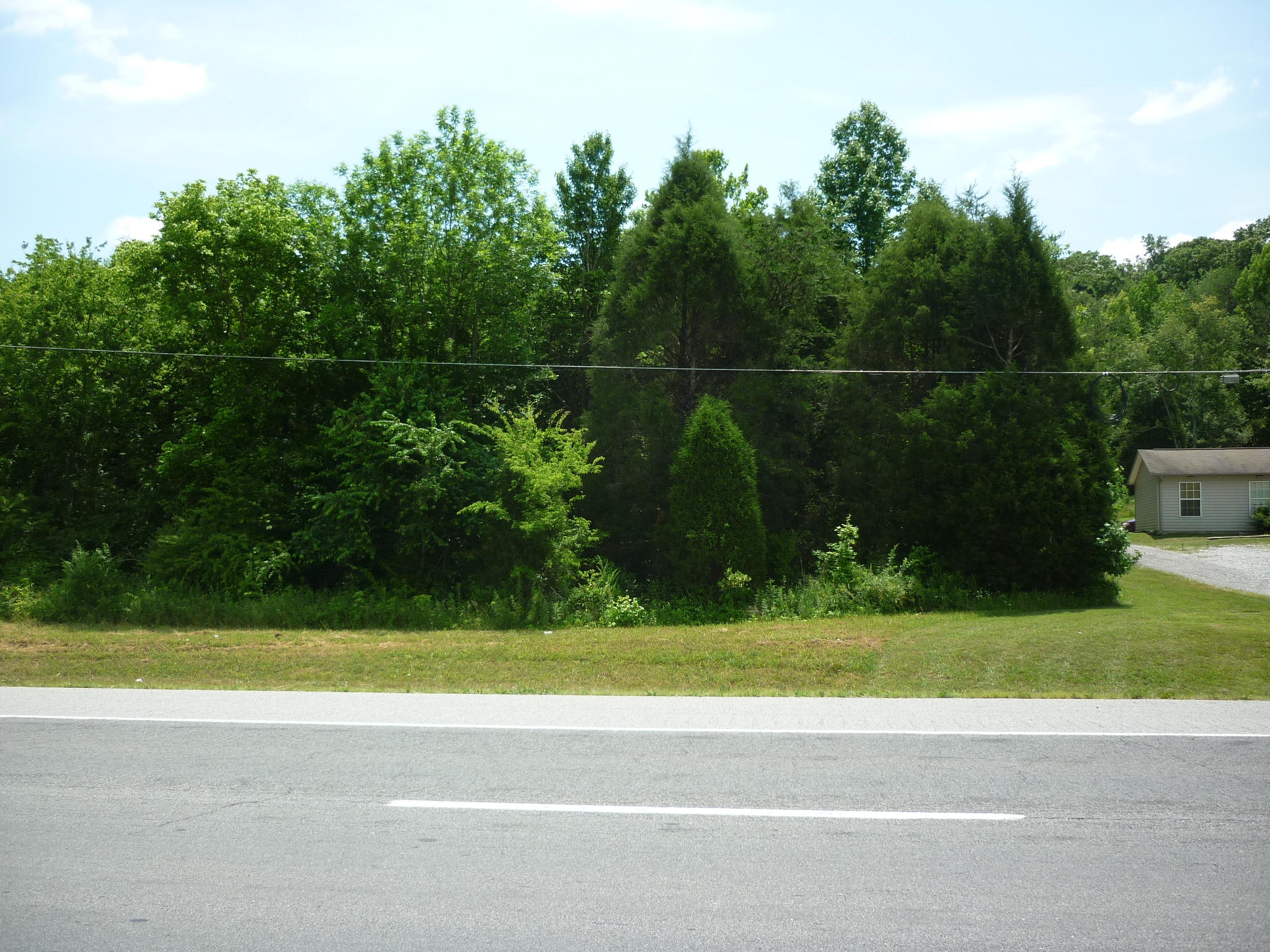 Lot #4 Rhea County Highway Spring City, TN 37381 - Photo 1 of 4 Lot 4