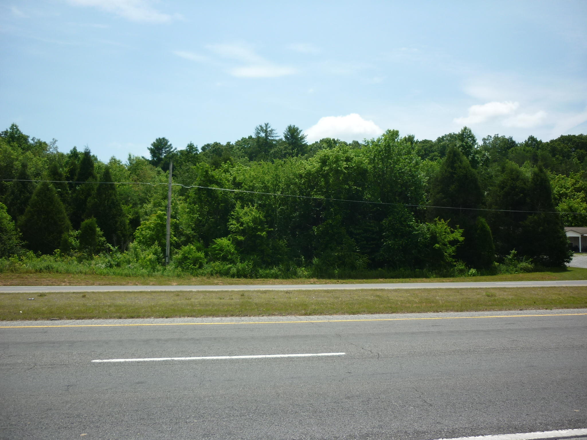 Lot #4 Rhea County Highway Spring City, TN 37381 - Photo 3 of 4 Lots 3 & 4 from across Hwy