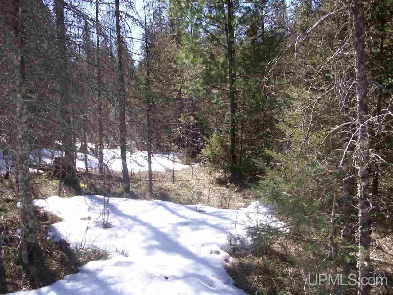 Tbd River Road Hermansville, MI 49847 - Photo 15 of 20 Gallery Image 15