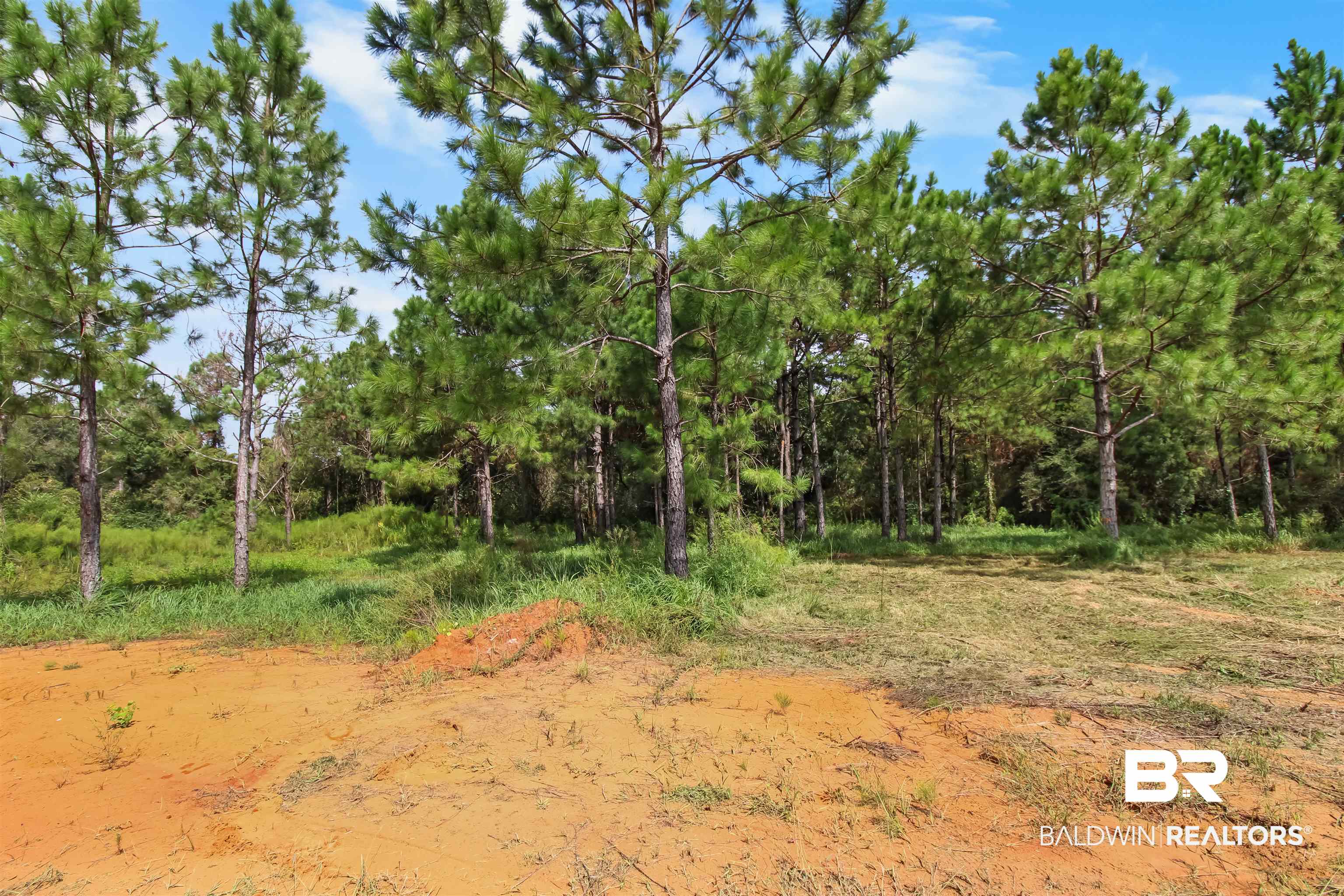 26197 Eagle Trace Elberta, AL 36530 - Photo 26 of 26 View of landscape
