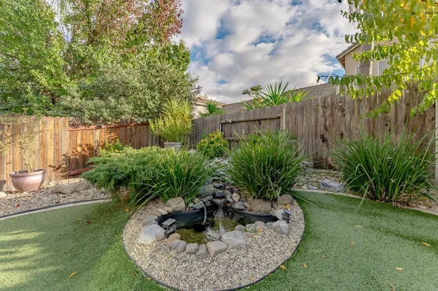 a view of a backyard with plants