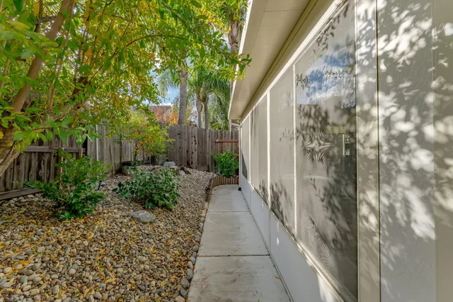 a view of a pathway with a tree