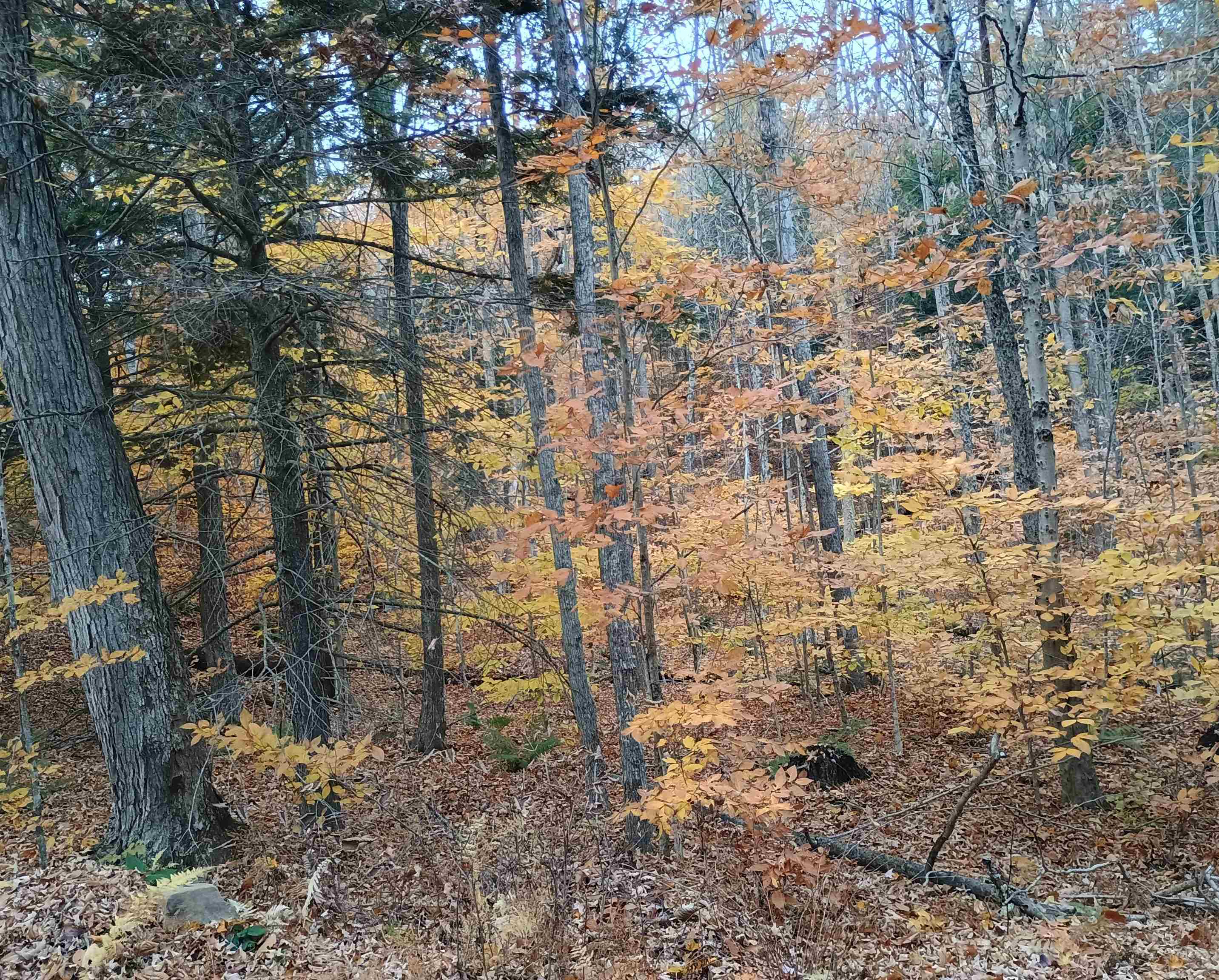 4 Nye Road Acworth, NH 03601 - Photo 6 of 7