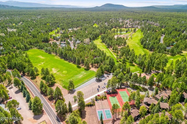 an aerial view of residential houses with outdoor space and trees
