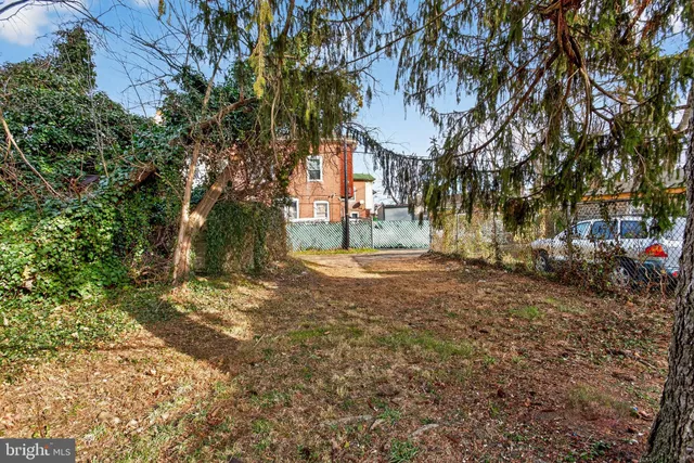 a view of a yard with plants and trees