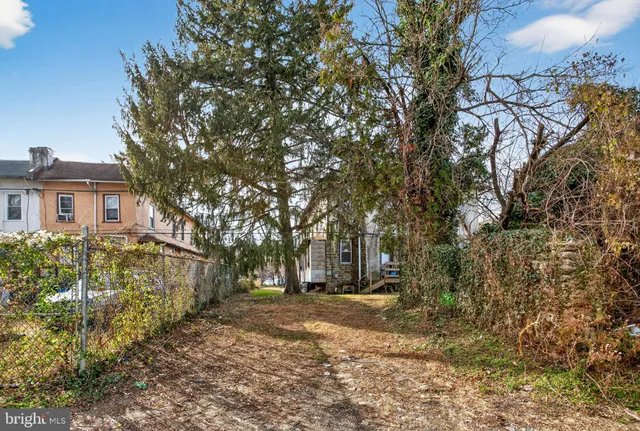 a view of road with large trees