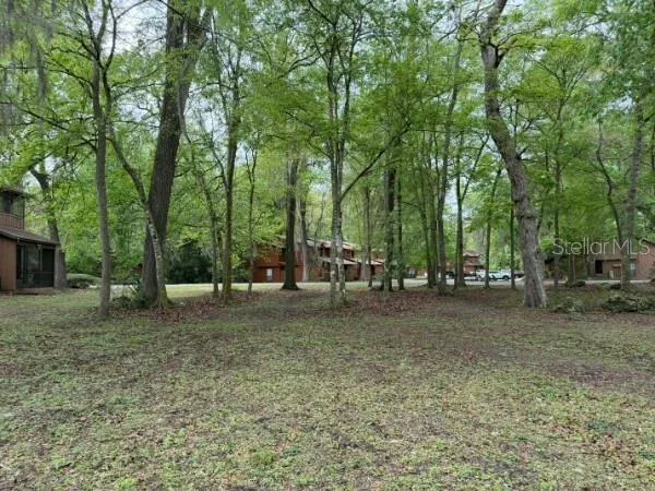a view of a yard with a tree