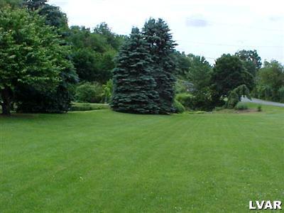 6673 Lime Kiln Road Slatington, PA 18080 - Photo 11 of 30 Front Yard