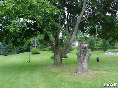 6673 Lime Kiln Road Slatington, PA 18080 - Photo 12 of 30 Old Fashioned Tire Swing in Yard