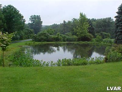 6673 Lime Kiln Road Slatington, PA 18080 - Photo 14 of 30 Spring fed pond with fish