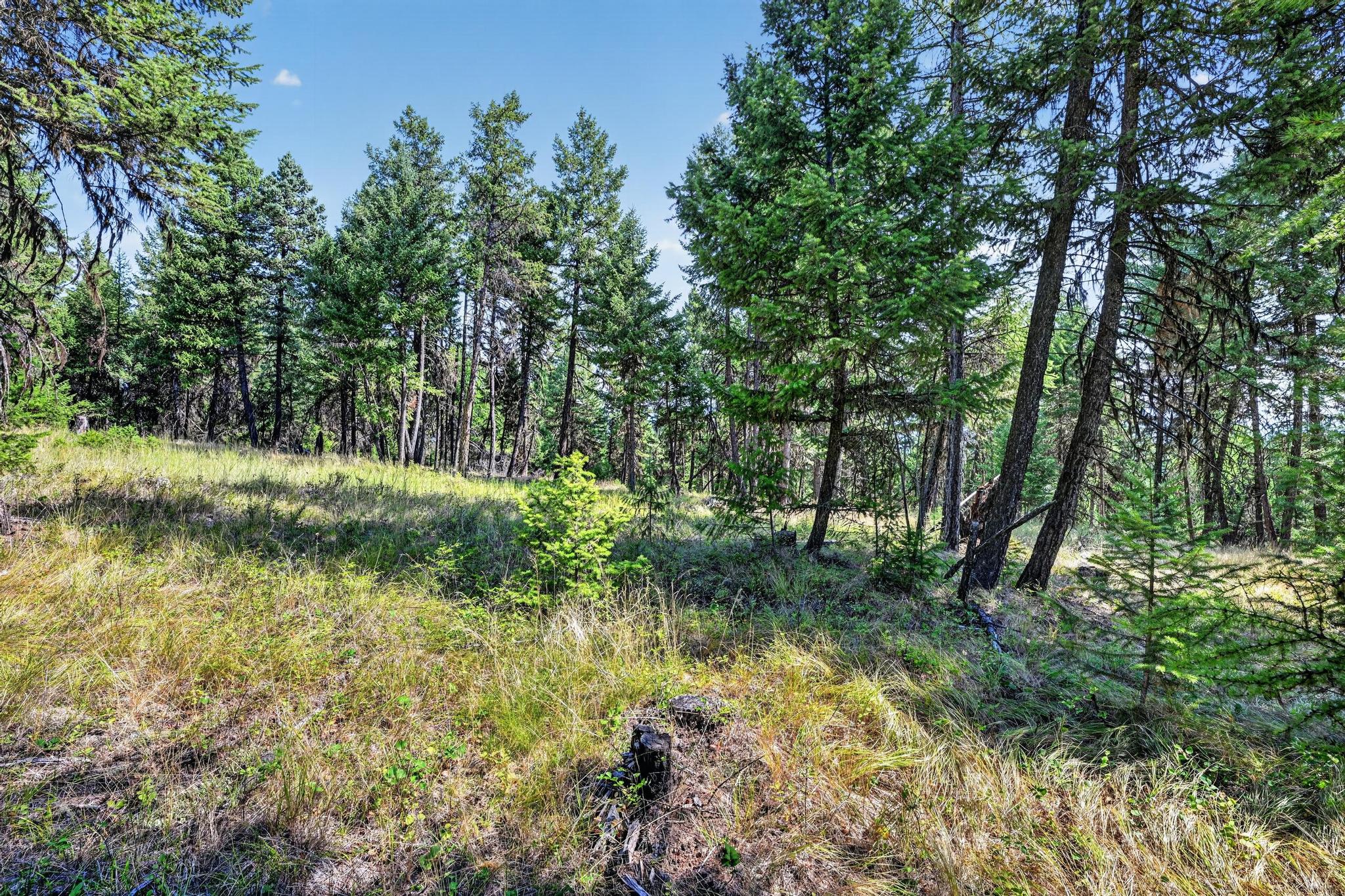 Lot 3 Forest Ridge Road Eureka, MT 59917 - Photo 7 of 23 Gallery Image 7