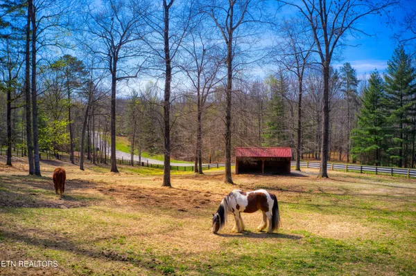 $389,000 | 538 Spruce Creek Drive, Jamestown, TN 38556