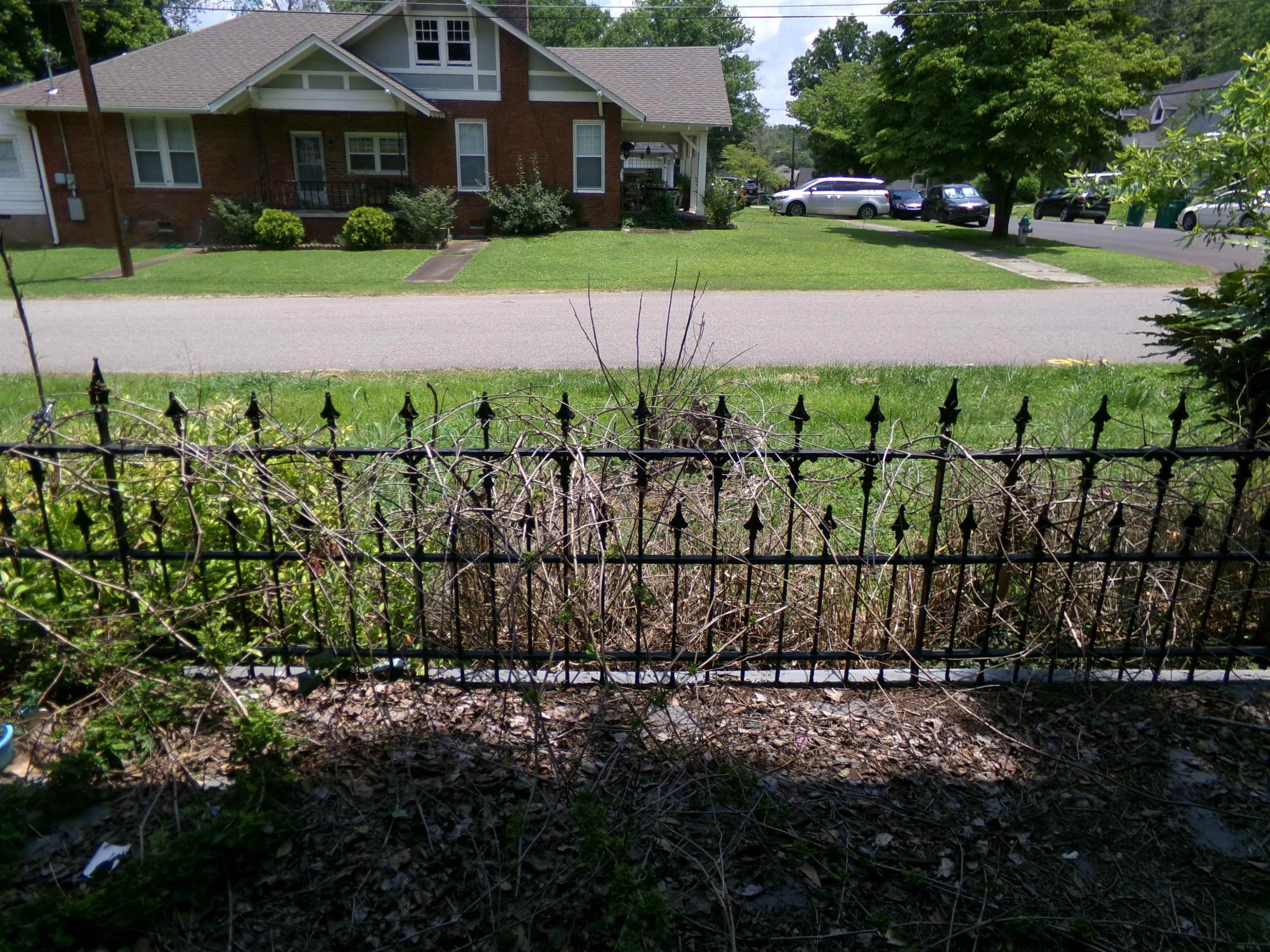 203 Division Avenue Jackson, TN 38301 - Photo 2 of 8 a view of a house with a yard and a garden