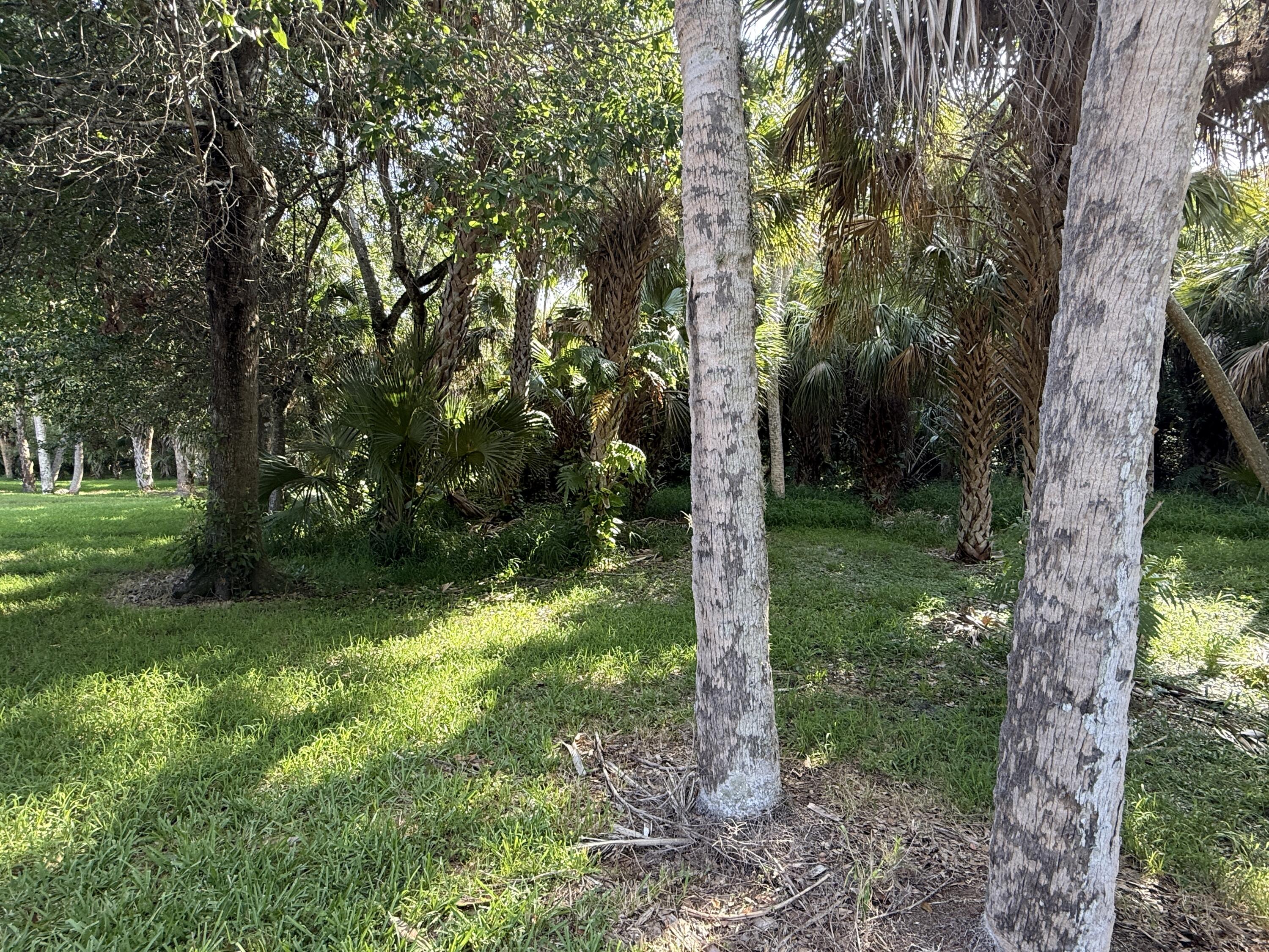198 Hampton Circle Jupiter, FL 33458 - Photo 5 of 19 Preserve