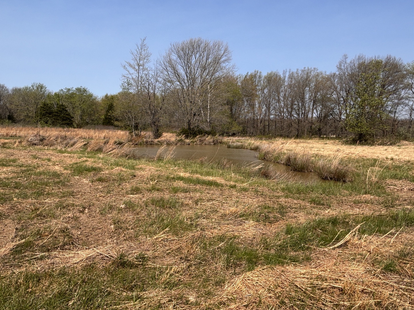 15662 East Nolan Road Mount Vernon, IL 62864 - Photo 44 of 46