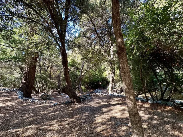 a view of a backyard of the house