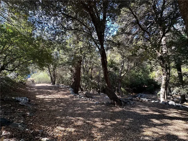$350,000 | 49 Ice House Canyon Road, Mount Baldy, CA 91759