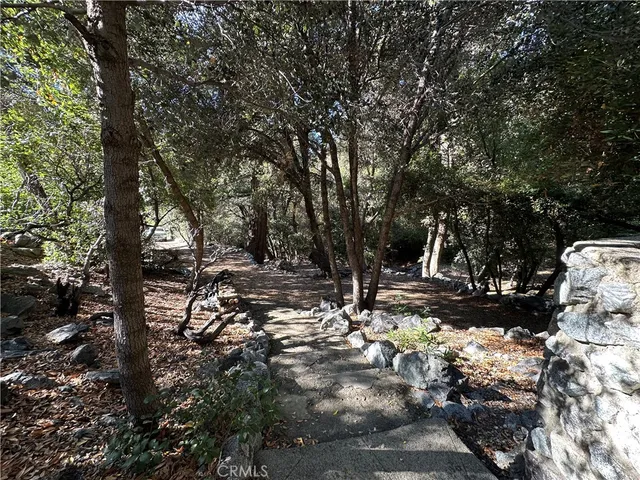 a view of a tree in the middle of a yard