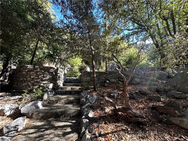 a view of a large tree