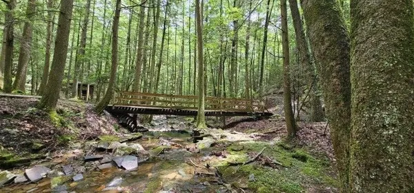 $99,000 | 0 Oak Leaf Lane, Dunlap, TN 37327