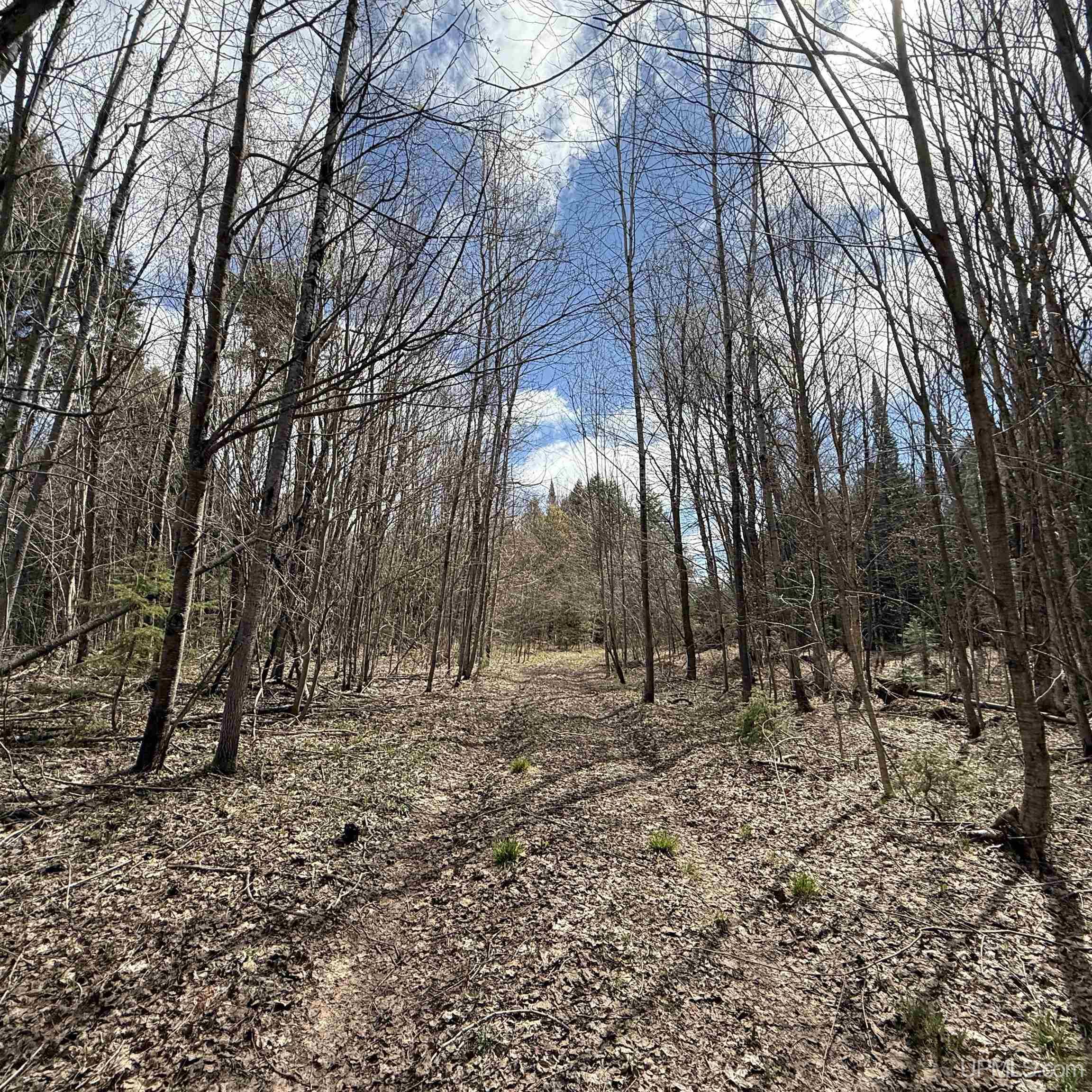 Off Black River Road Ironwood, MI 49938 - Photo 26 of 31