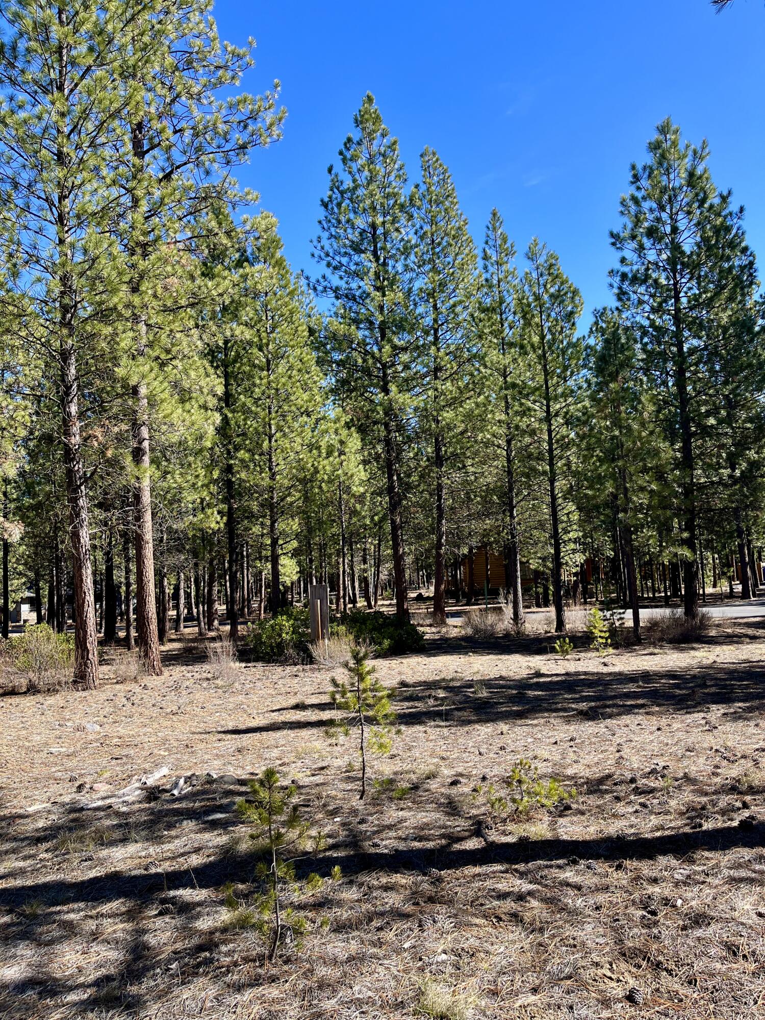 14171 Whitewater Loop La Pine, OR 97739 - Photo 5 of 16 14171-3