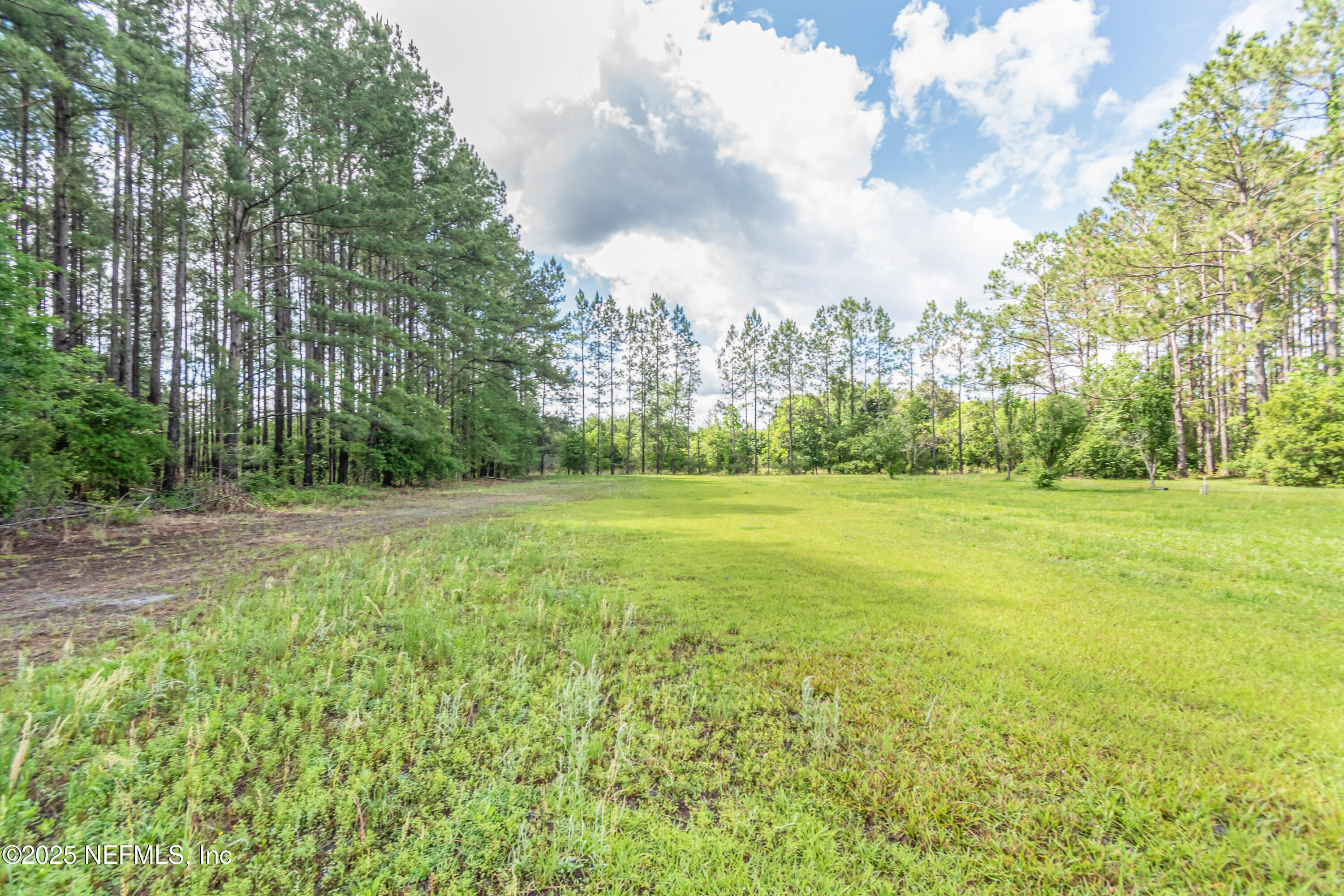 6645 Elvin Starling Road Macclenny, FL 32063 - Photo 56 of 64 untitled-1989copy