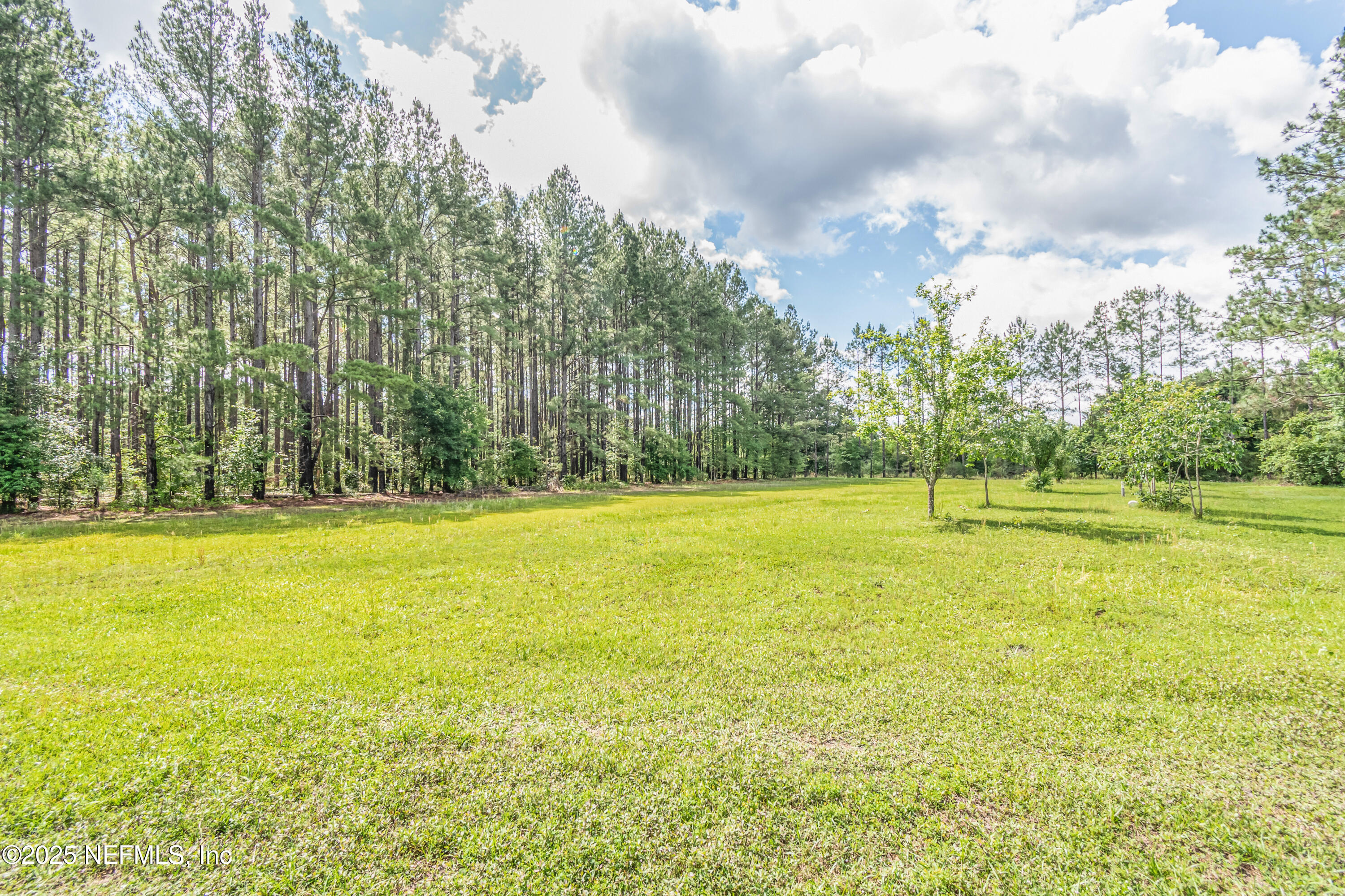 6645 Elvin Starling Road Macclenny, FL 32063 - Photo 59 of 64 untitled-2050copy