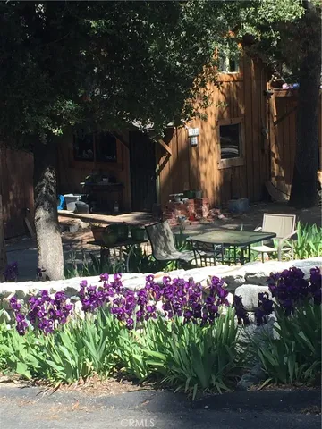 $333,000 | 9112 Torrey Pines Drive, Forest Falls, CA 92339