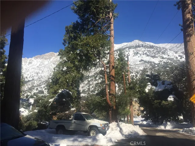 $333,000 | 9112 Torrey Pines Drive, Forest Falls, CA 92339