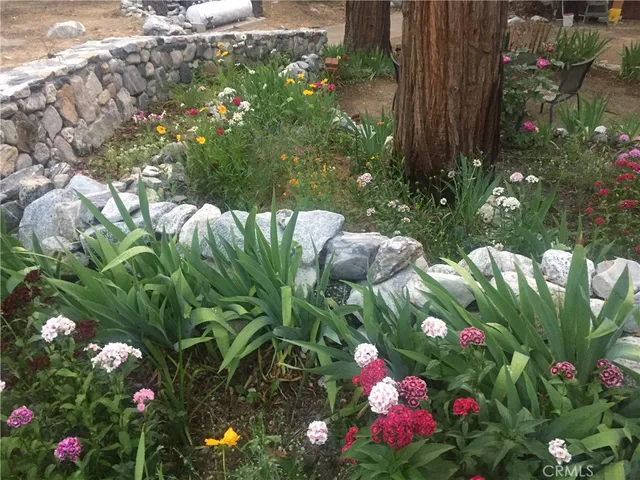 $333,000 | 9112 Torrey Pines Drive, Forest Falls, CA 92339